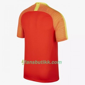 Fotballdrakt China 2018 Hjemmetrøye Kortermet